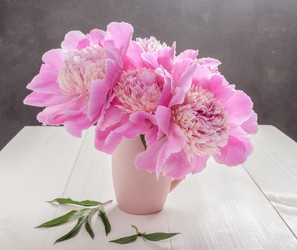 Similar image 21223233