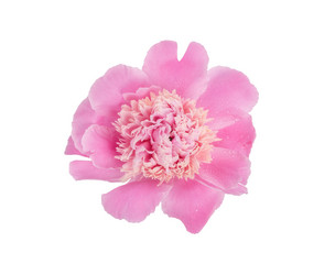 Similar image 21223235