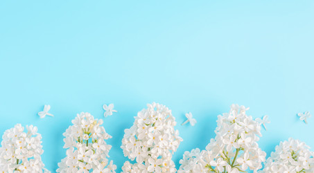 Similar image 21223236