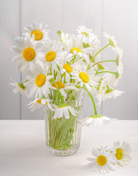 Similar image 21223239