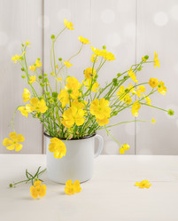 Similar image 21223241