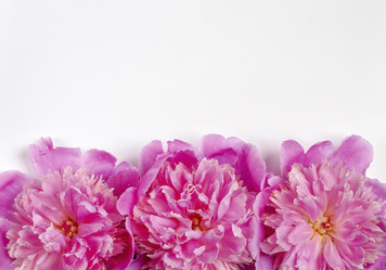 Similar image 21223404