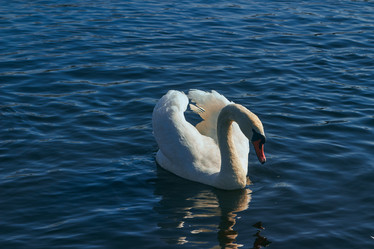 Similar image 21224181