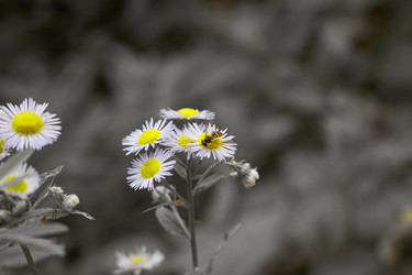 Similar image 21224197