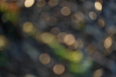 Similar image 21217712