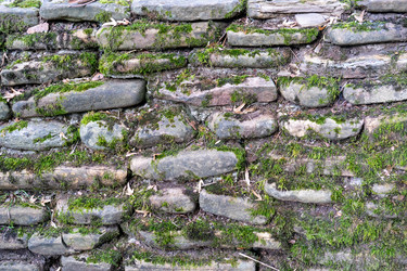 Similar image 21217715