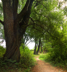 Similar image 21217411