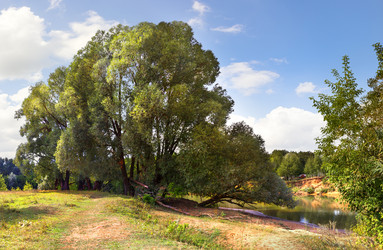 Similar image 21217412