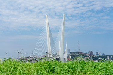 Similar image 21217750