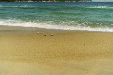 Similar image 21217764