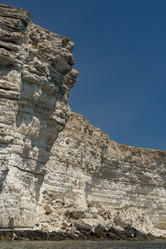 Similar image 21217772