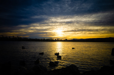 Similar image 21254208