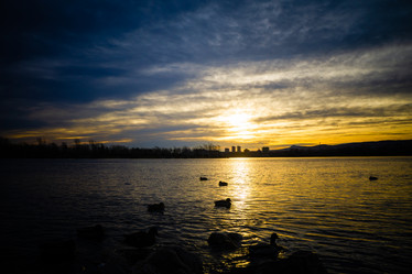 Similar image 21254209