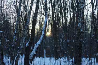 Similar image 21217789