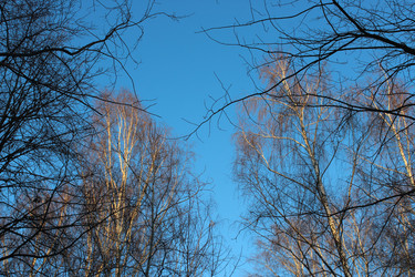 Similar image 21217791