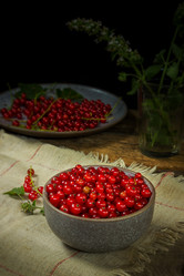 Similar image 21237259