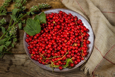 Similar image 21237261