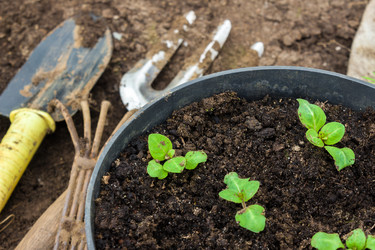 Similar image 21237269