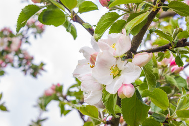 Similar image 21237270