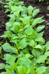 Similar image 21237271