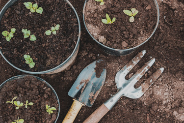 Similar image 21237272