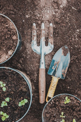 Similar image 21237273