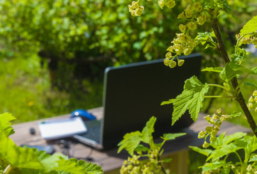 Similar image 21237274