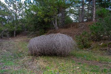 Similar image 21224736