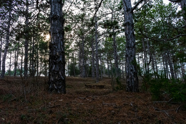 Similar image 21224738