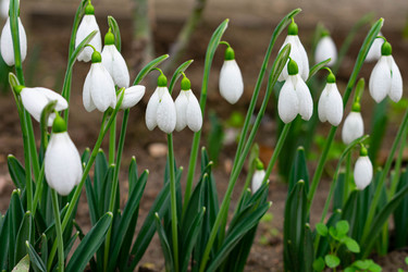 Similar image 21224740