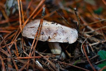 Similar image 21224759