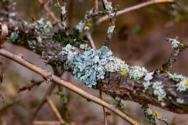 Similar image 21224760