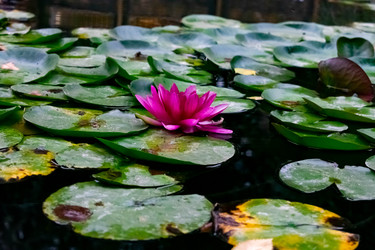 Similar image 21224761