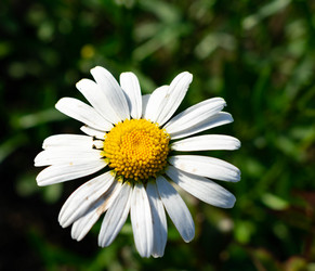 Similar image 21224765