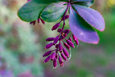 Similar image 21224766