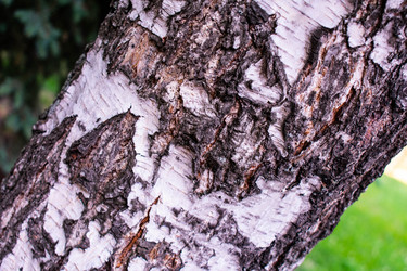 Similar image 21224767