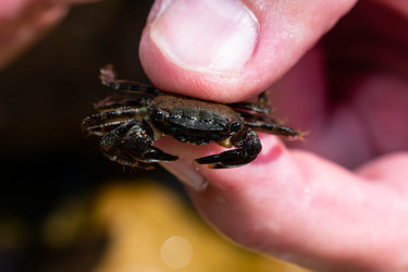 Similar image 21224768