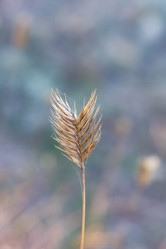 Similar image 21224769