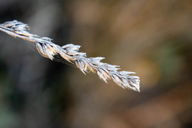 Similar image 21224770