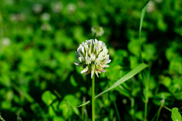 Similar image 21224772