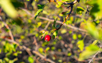 Similar image 21224774