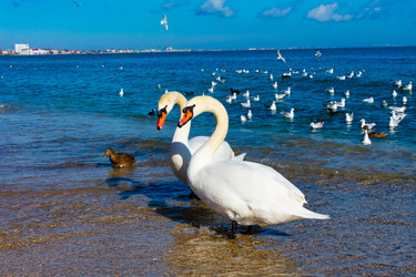 Similar image 21224775