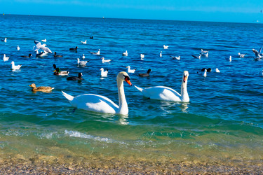 Similar image 21224776