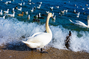 Similar image 21224777