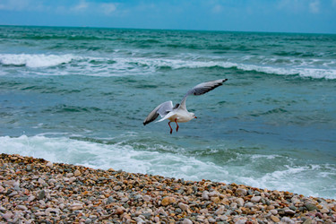 Similar image 21224780