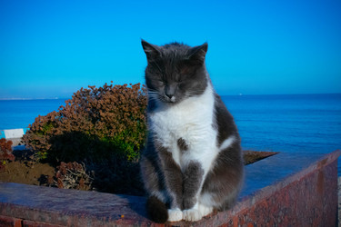 Similar image 21224792