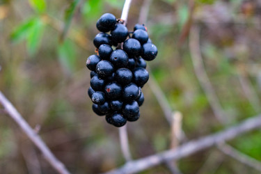 Similar image 21224796