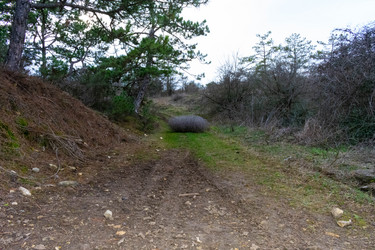 Similar image 21224911