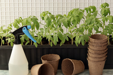 Similar image 21219536