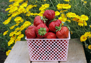 Similar image 21219537